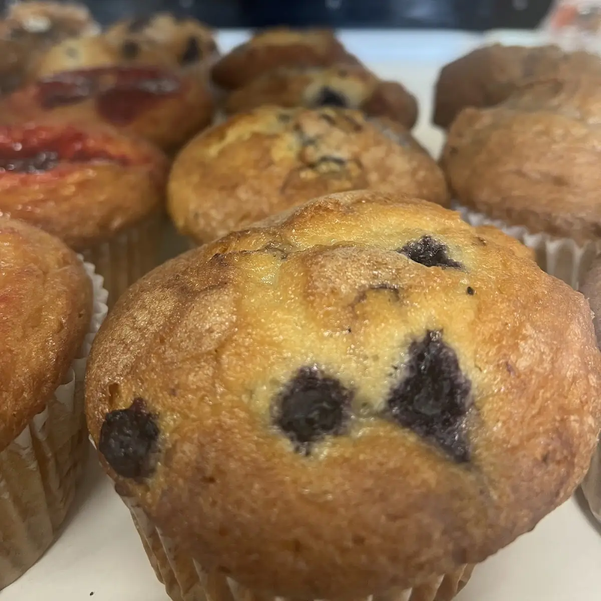 Blueberry Muffin