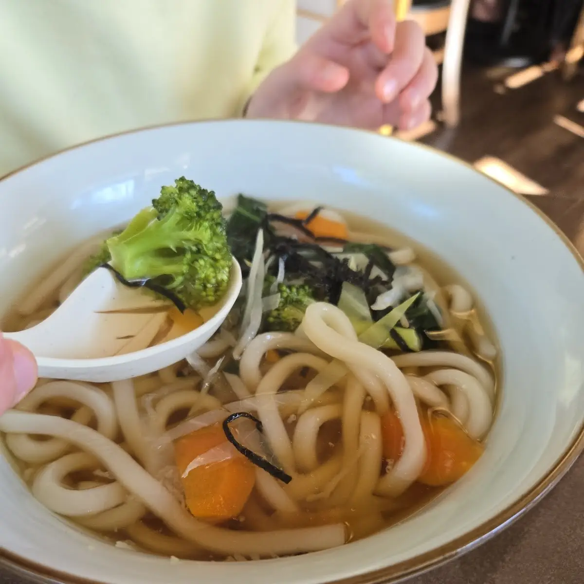Tempura Udon L