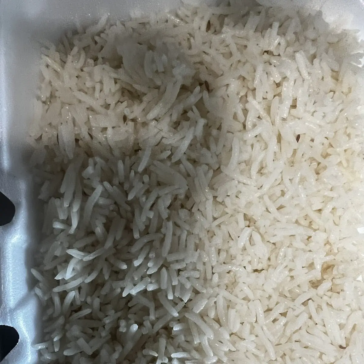White Rice