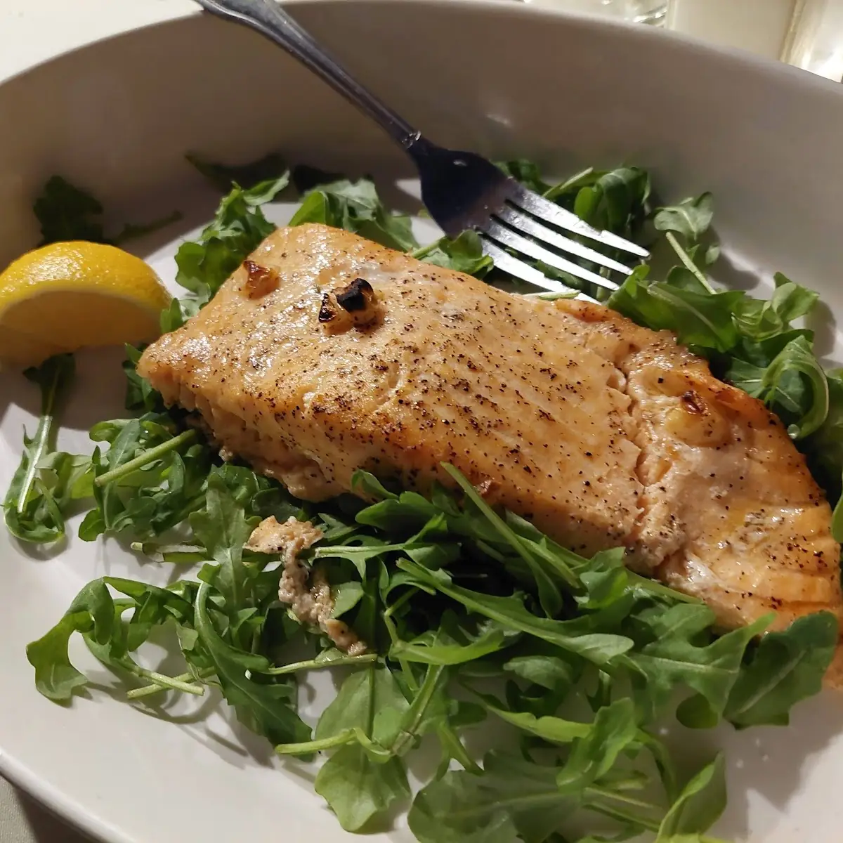 Wild Salmon Filet
