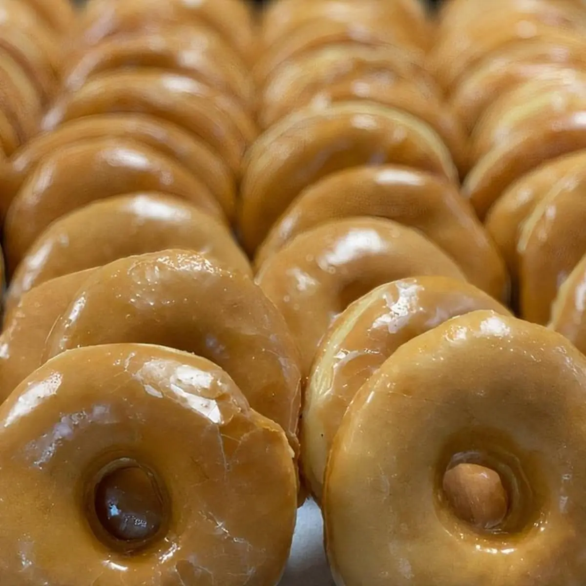 Glazed Donut