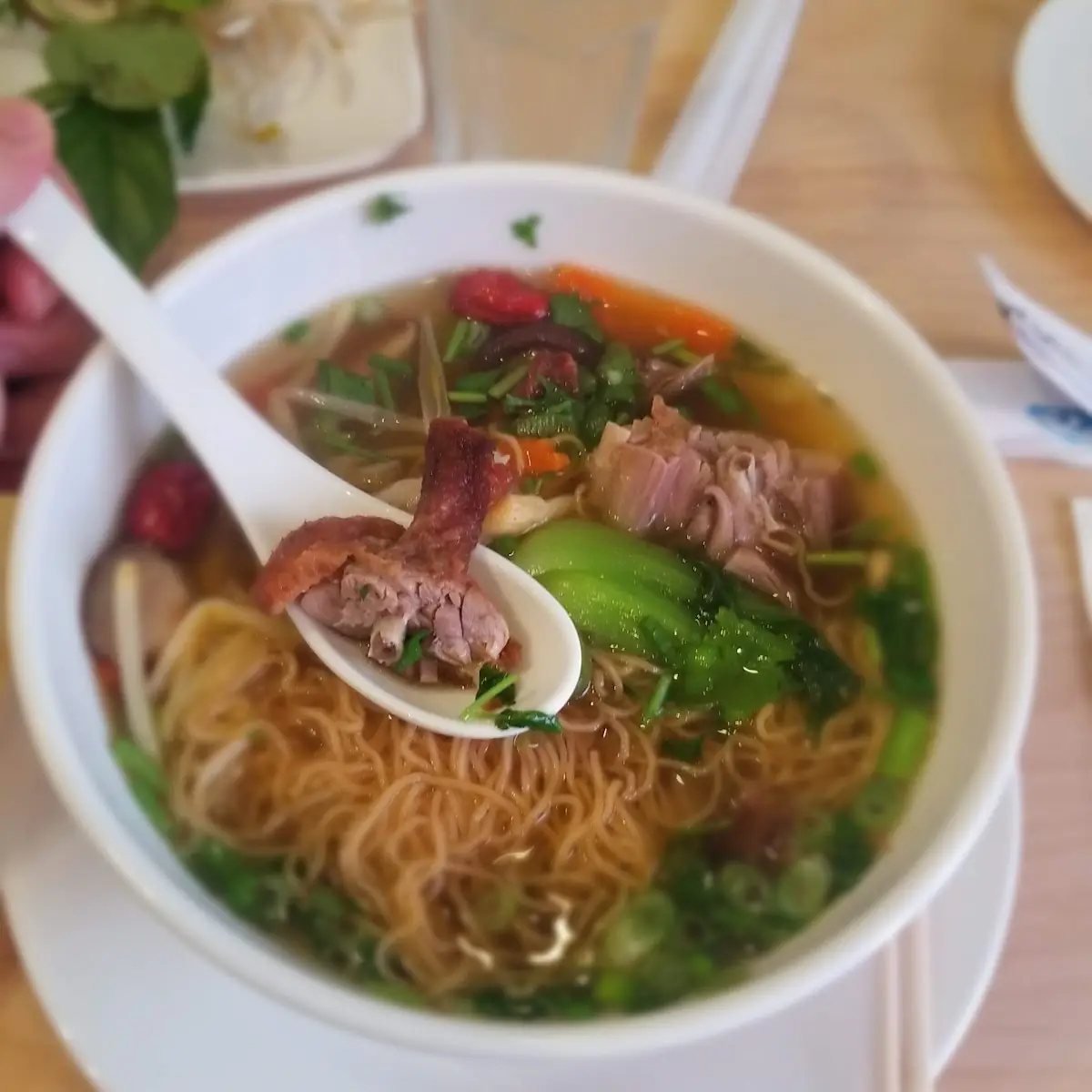 Roasted Duck Noodle Soup
