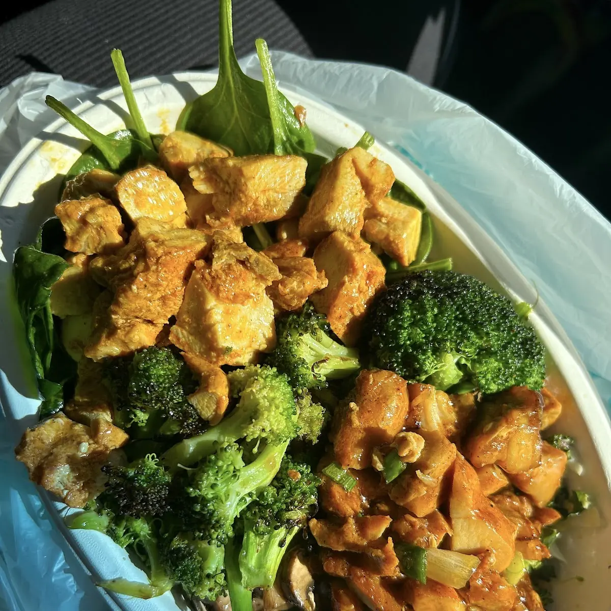Teriyaki and Lemon Chicken Bowl