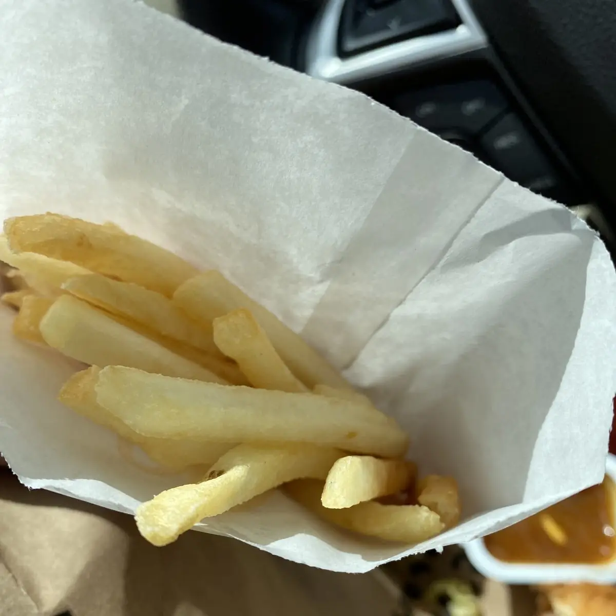 World Famous Fries