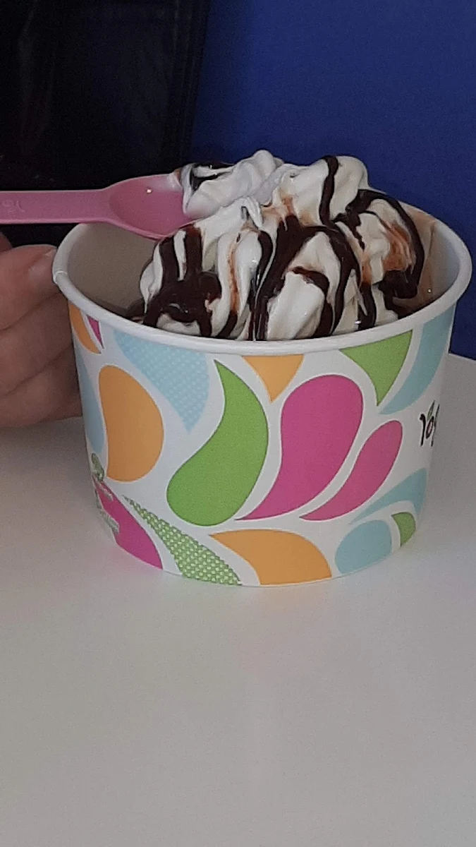Rich Chocolate Ice Cream