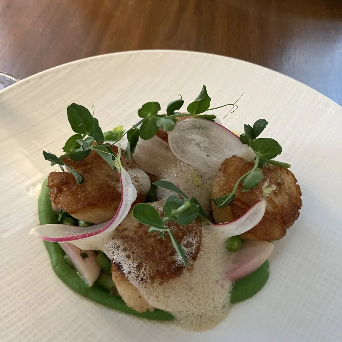 Seared Scallops