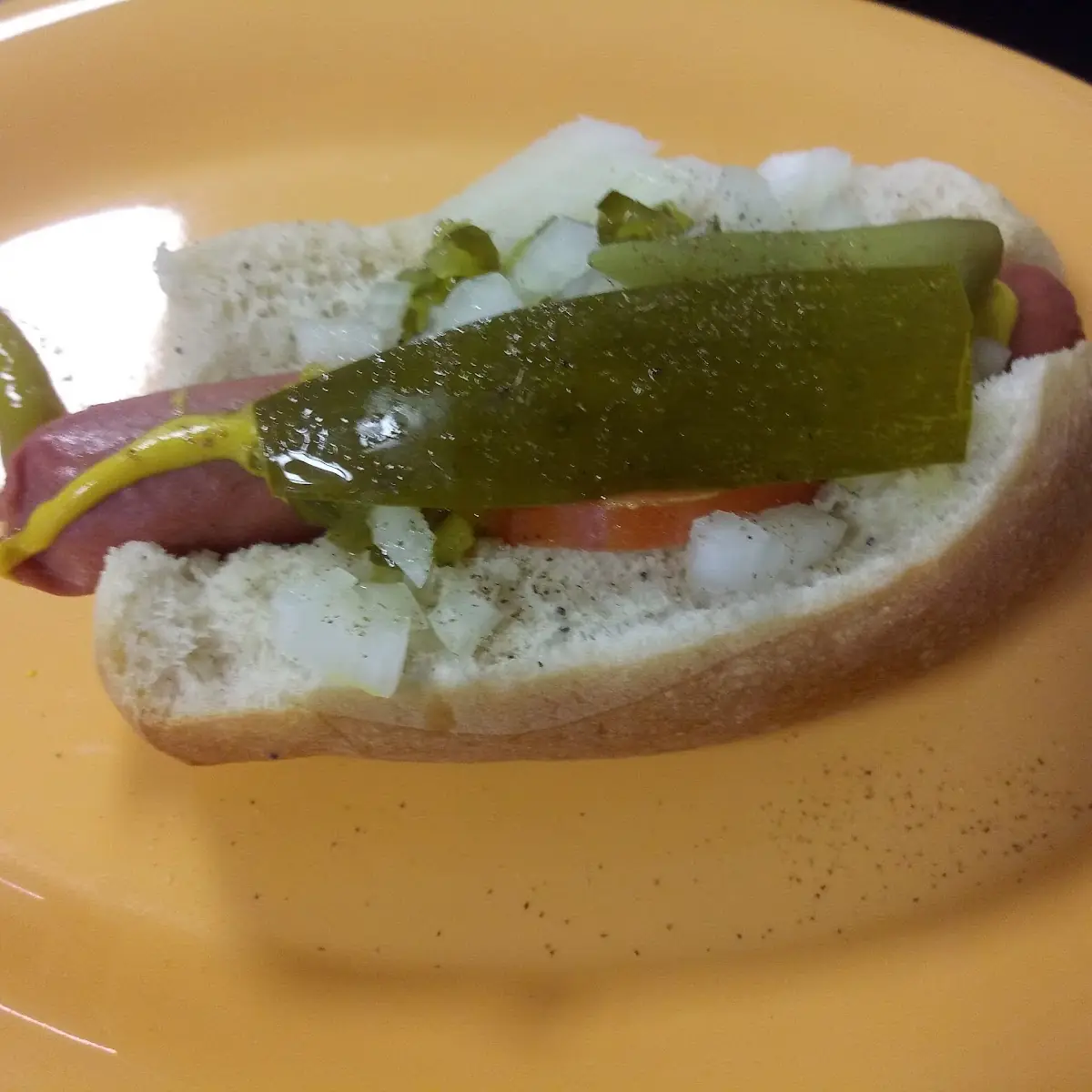 Chicago Style Hot Dog