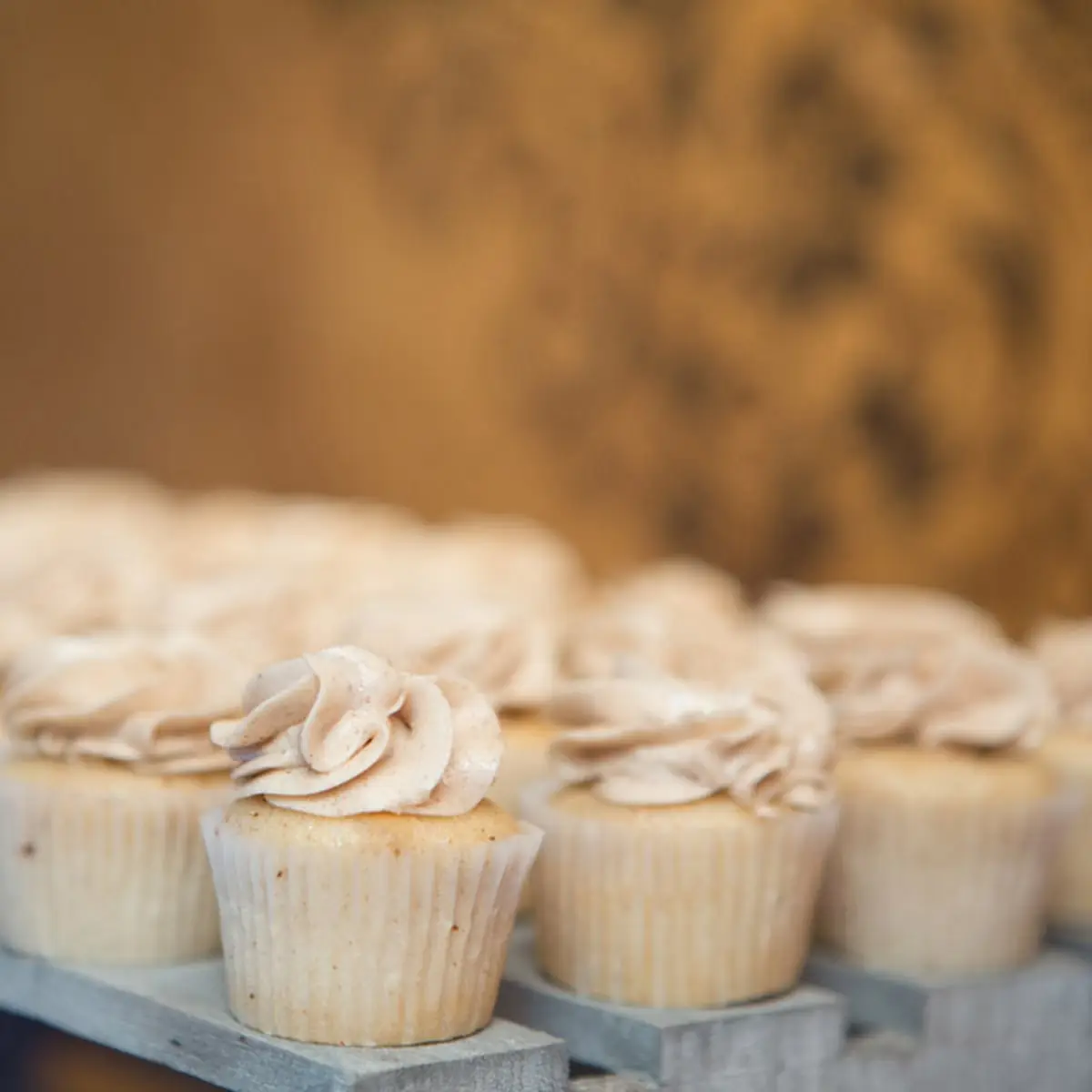 Mini Plain Jane Cupcake