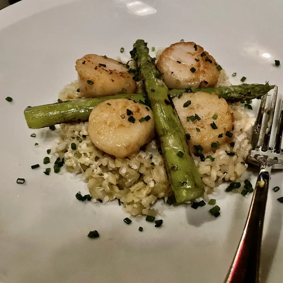 Pan Seared Scallops