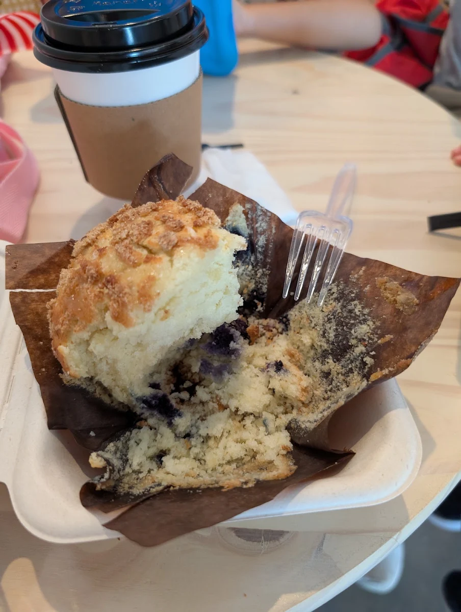 Blueberry Muffin