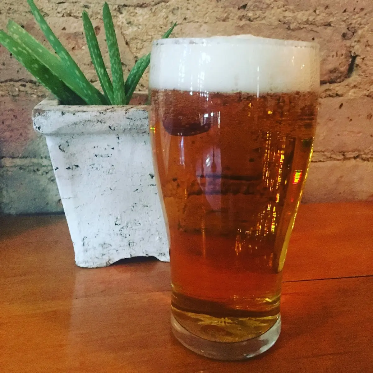 Hazy IPA