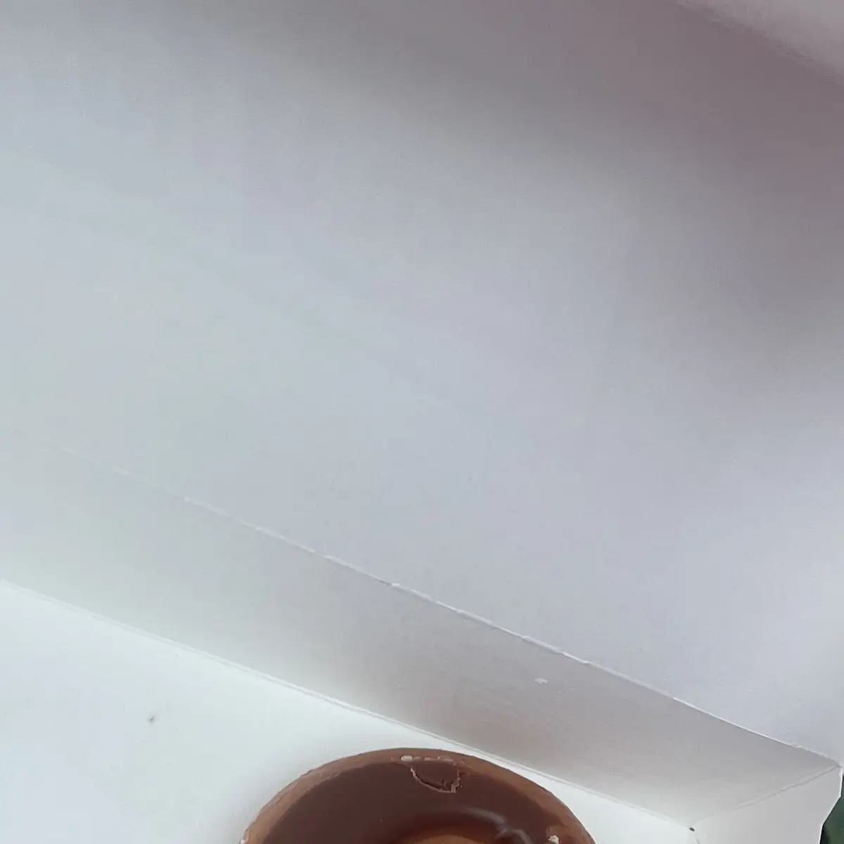 Hershey's Double Chocolate Doughnut