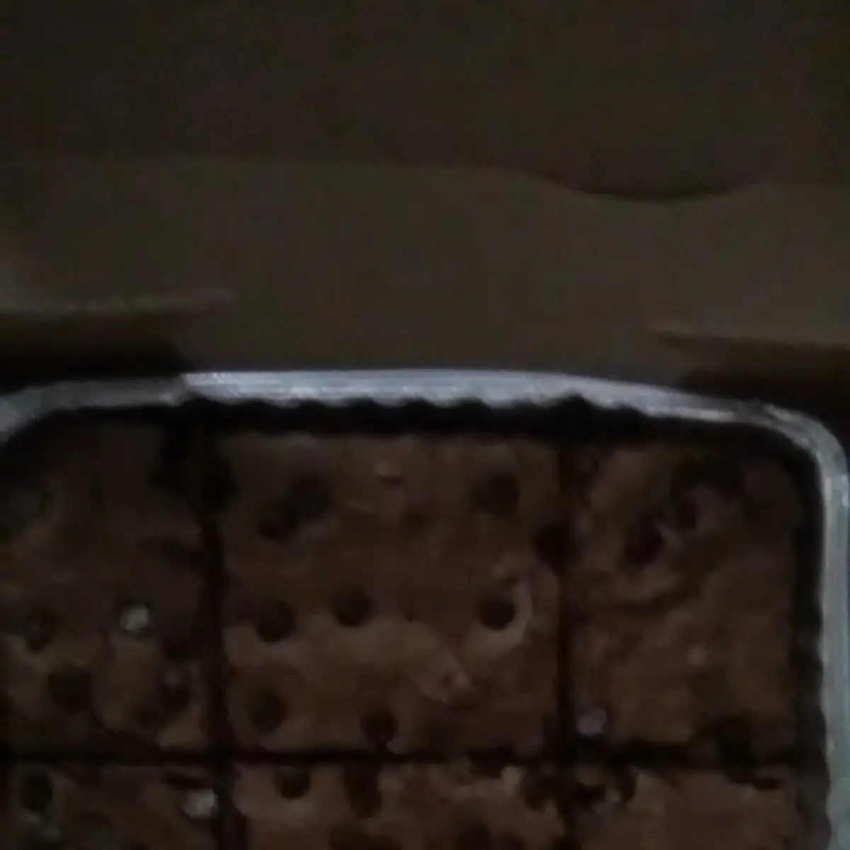 Double Chocolate Brownie