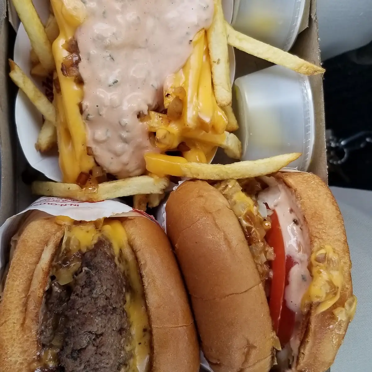 Double Double Cheeseburger Combo and Animal Fries
