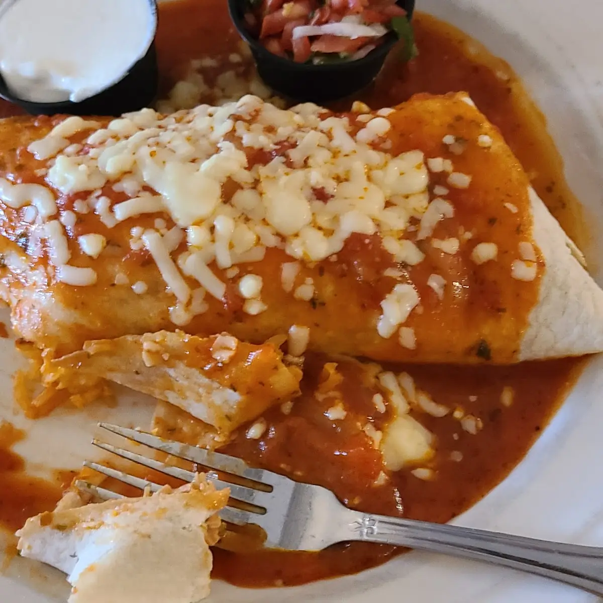 Chicken Burrito Deluxe