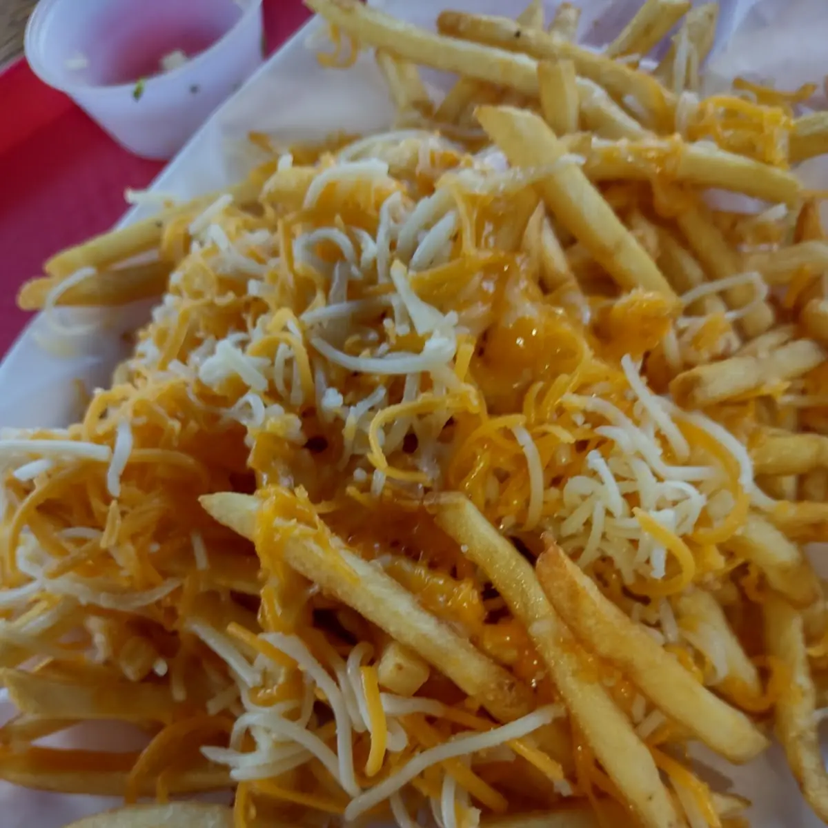 Cheese Fries