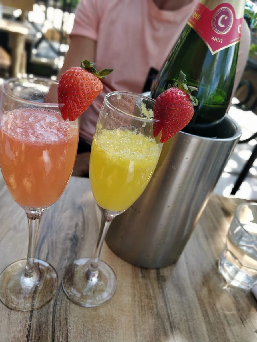 Mimosa