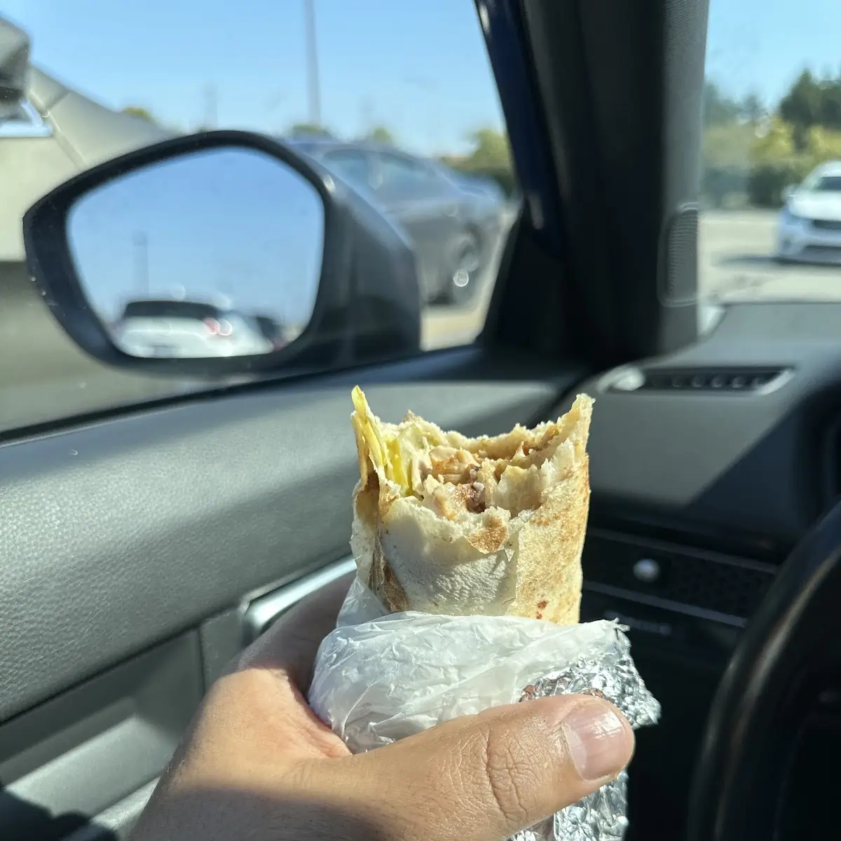 Shawarma Sandwich