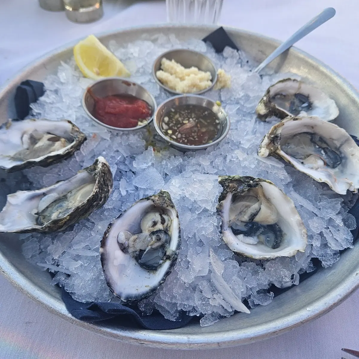 Oysters on the Half Shell