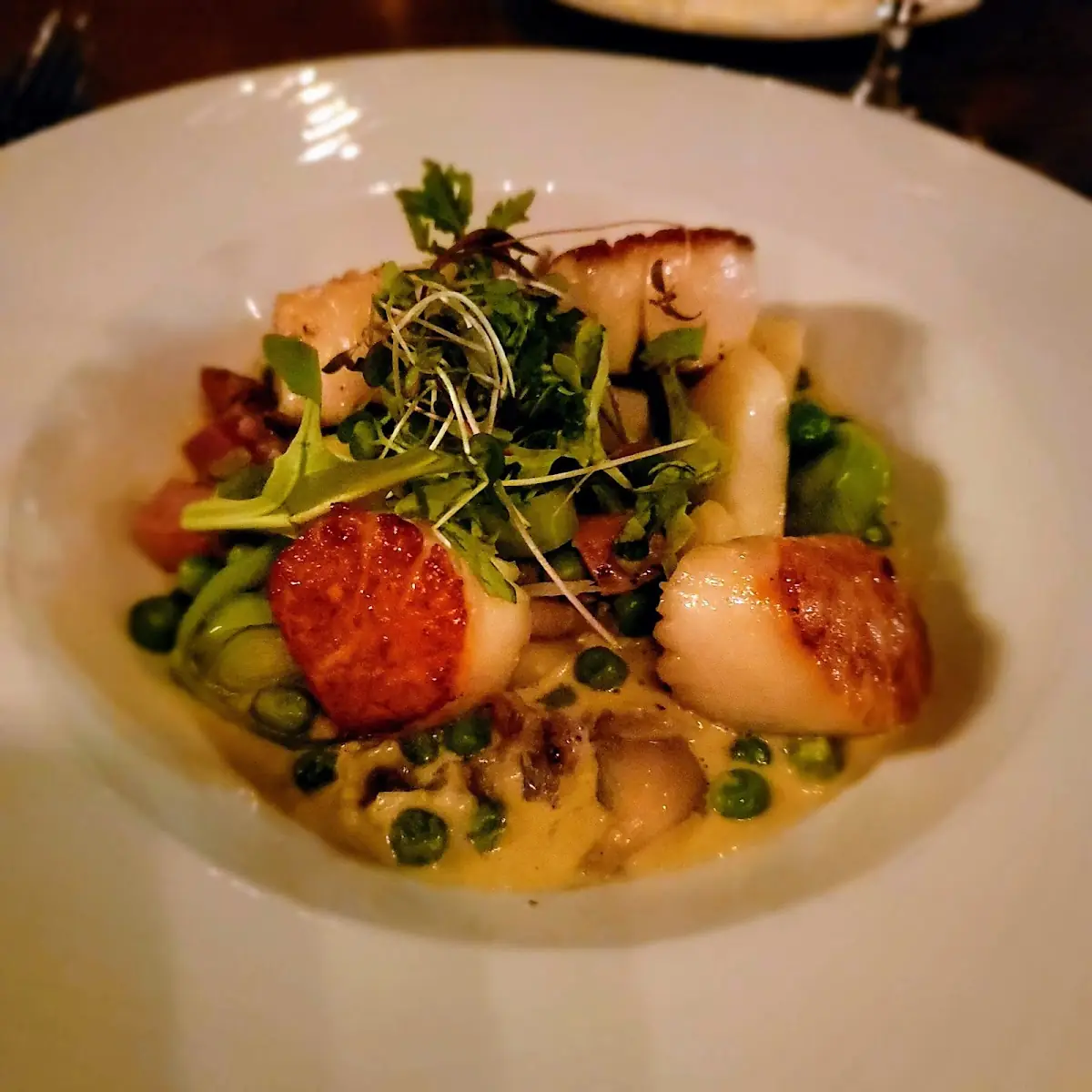 Seared Scallops with Creamy Risotto