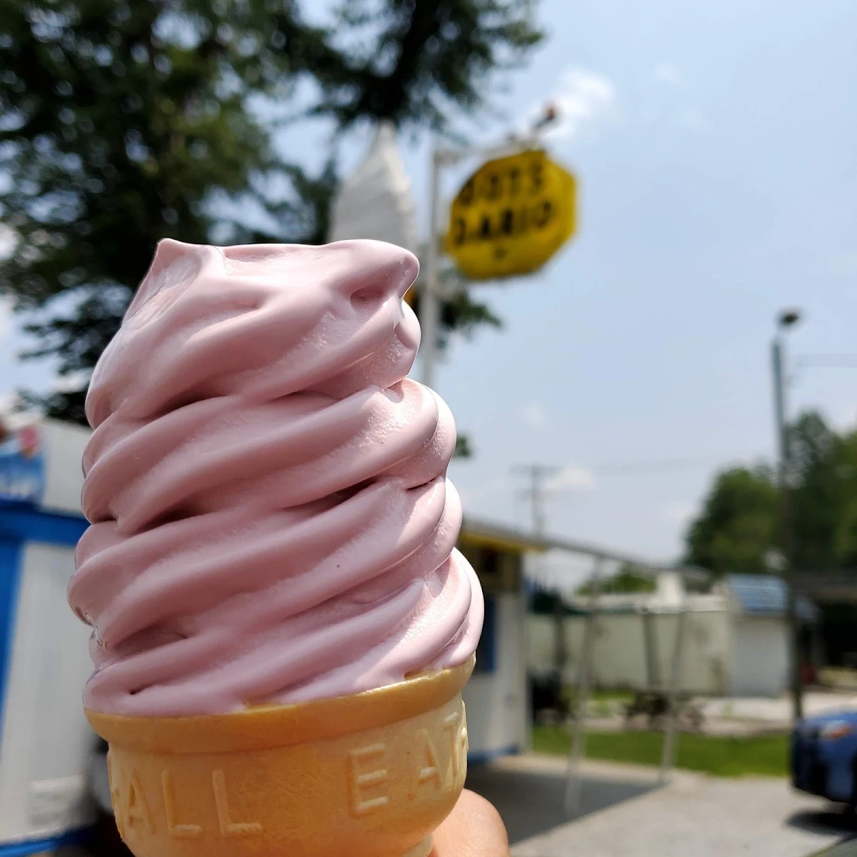Black Cherry Soft Serve Cone Medium