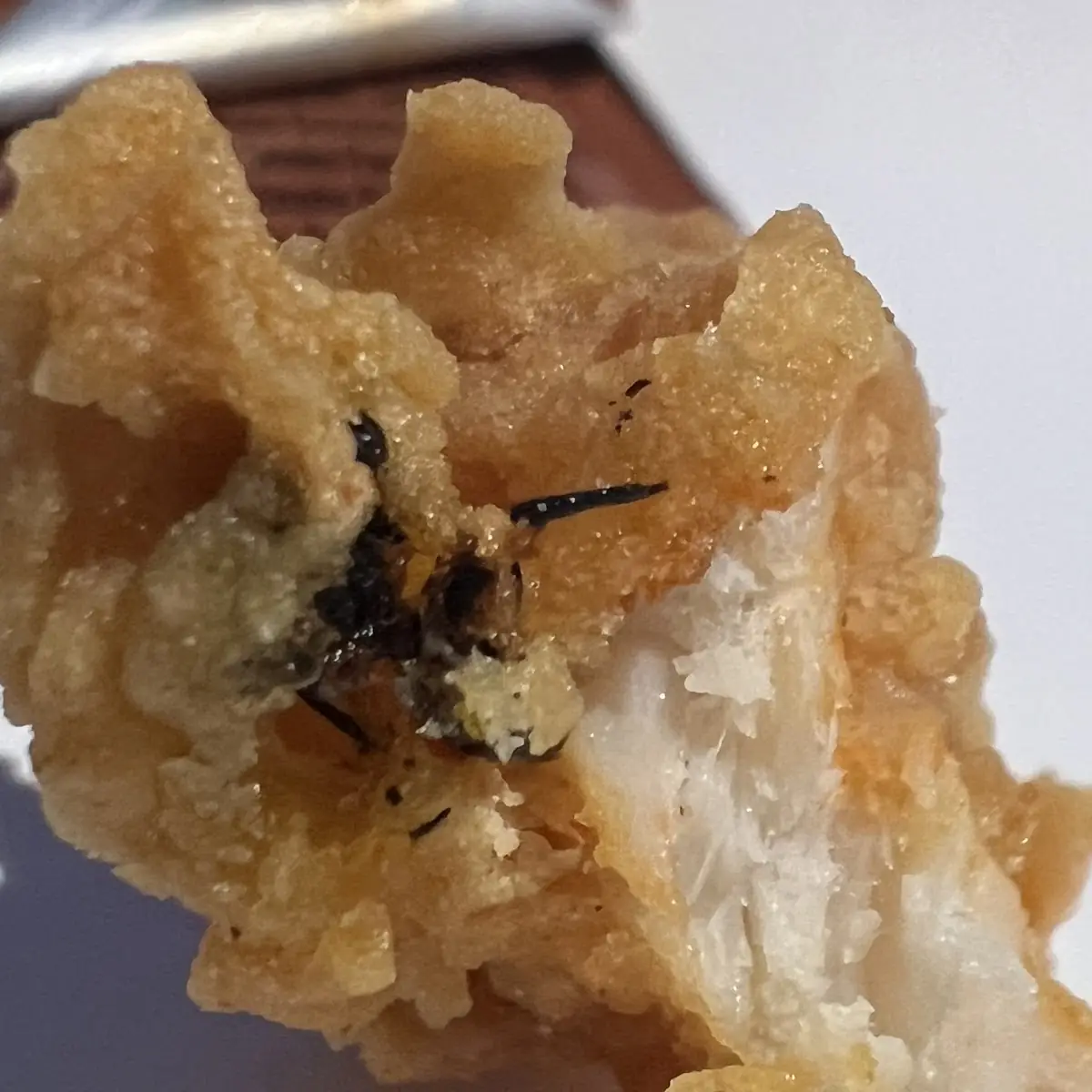 Tempura