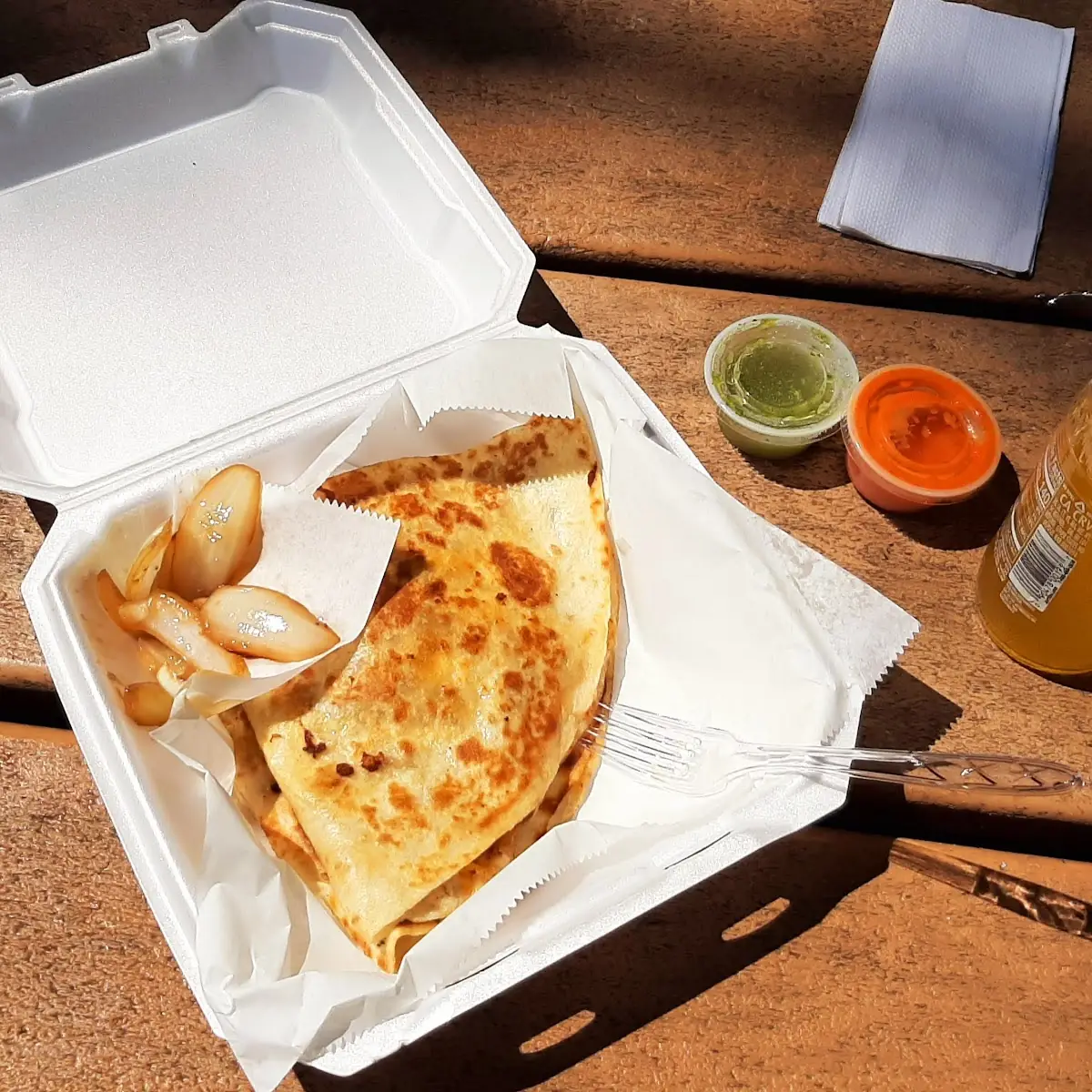 Quesadilla with Meat