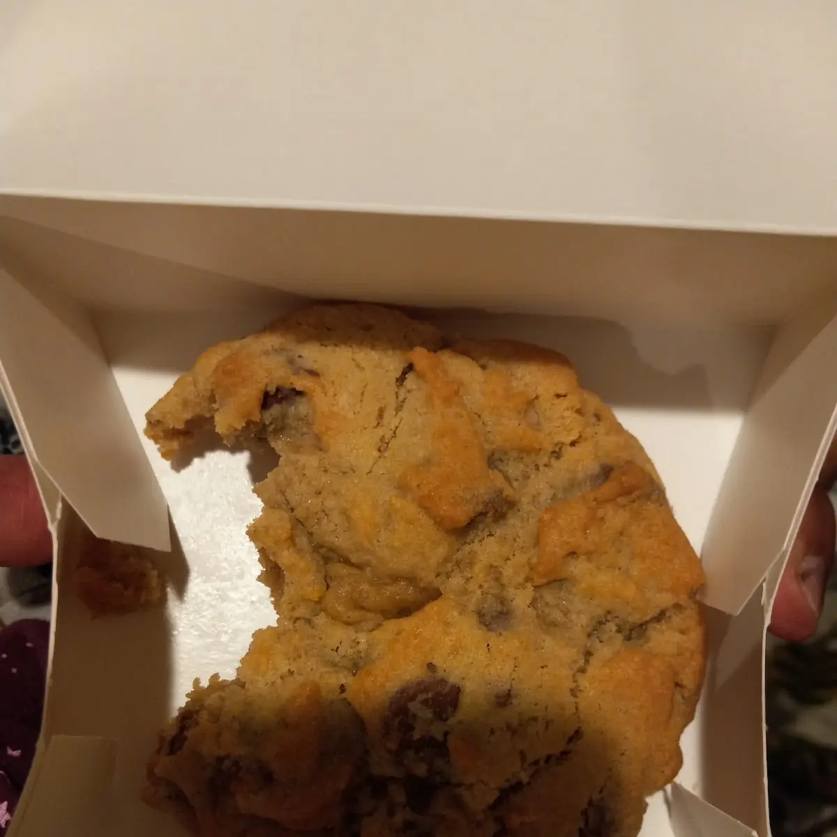Chocolate Chip Cookie