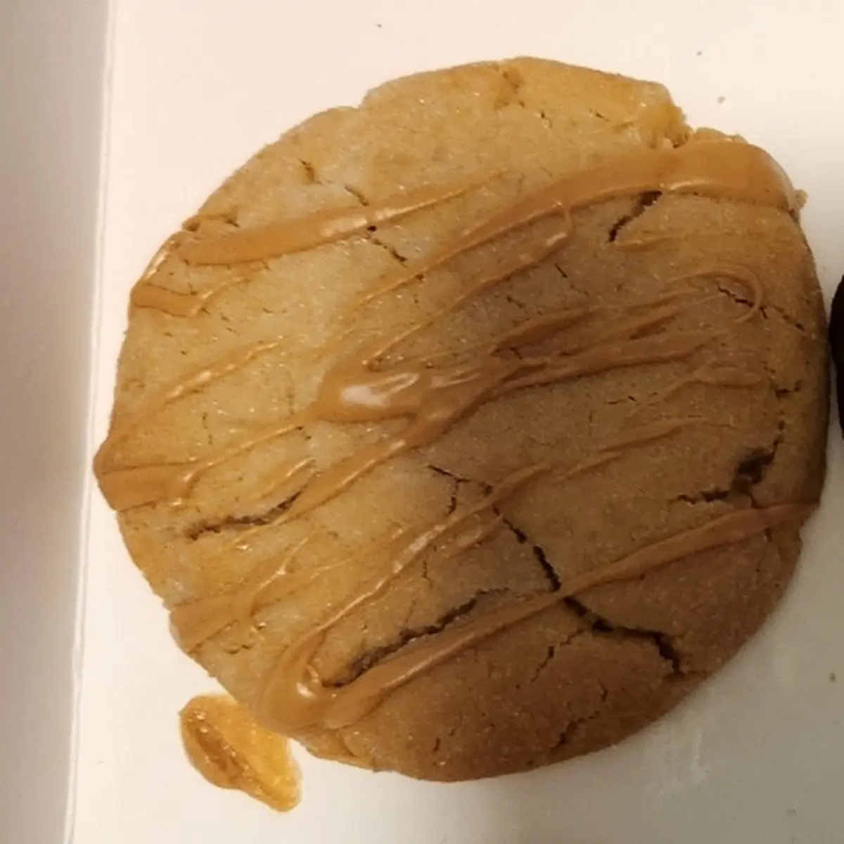 Peanut Butter Cookie