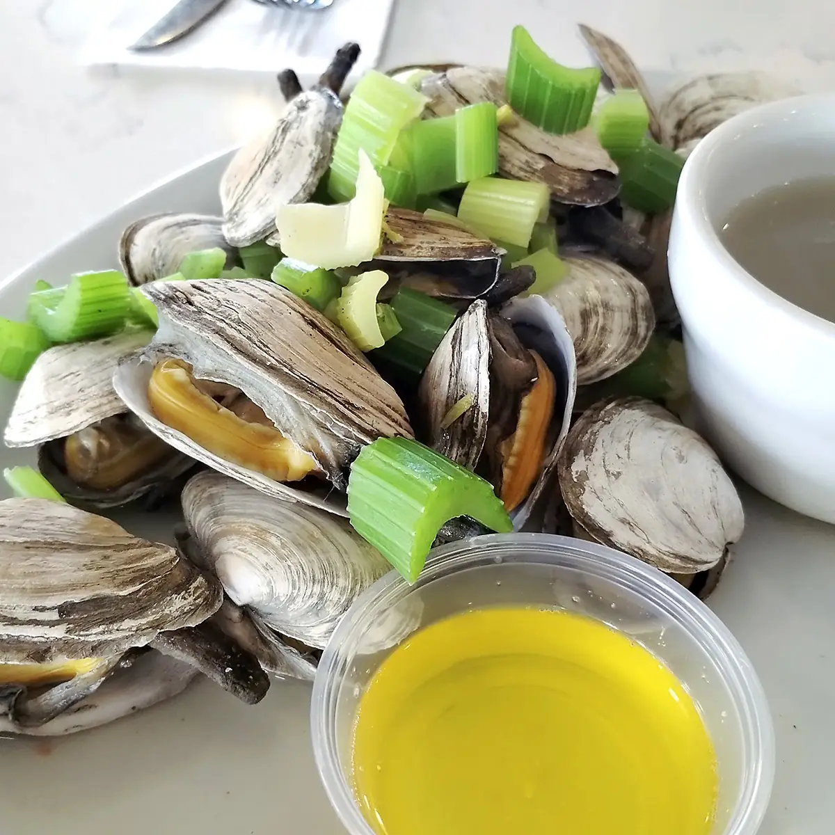 Steamed Clams