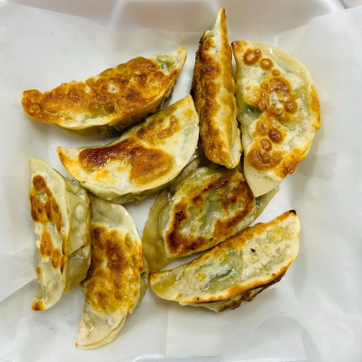 Chicken Pan Fried Mandoo