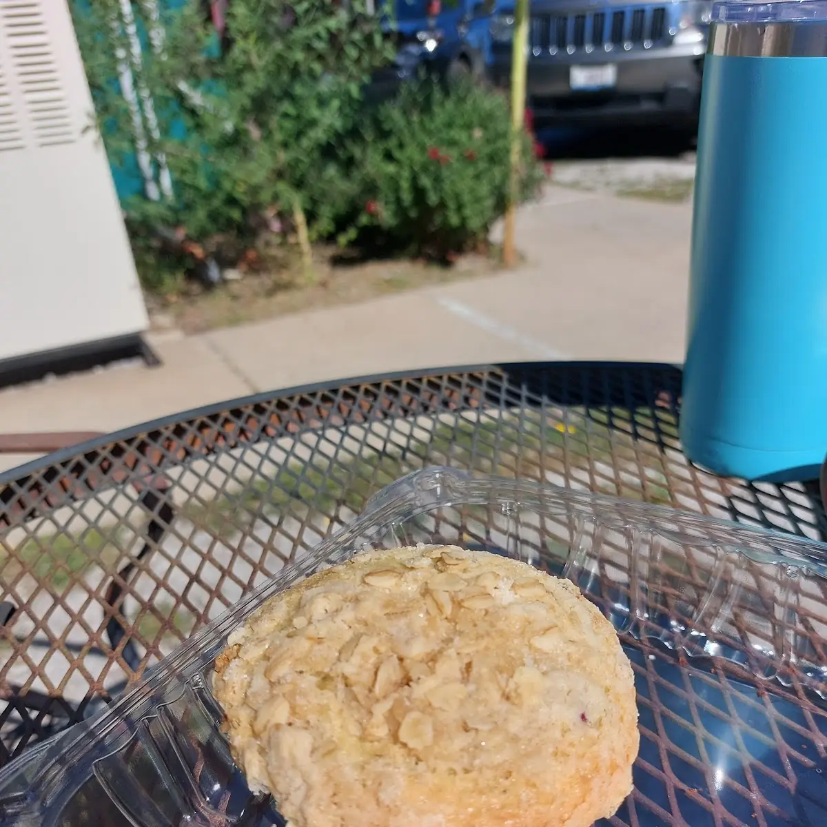 Blueberry Muffin