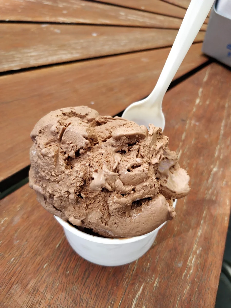 Chocolate Ice Cream