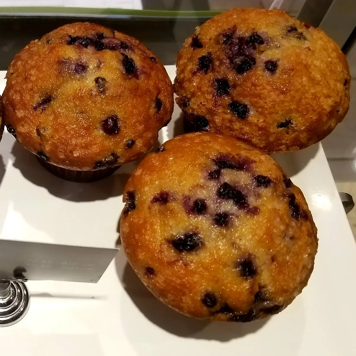 Blueberry Muffin