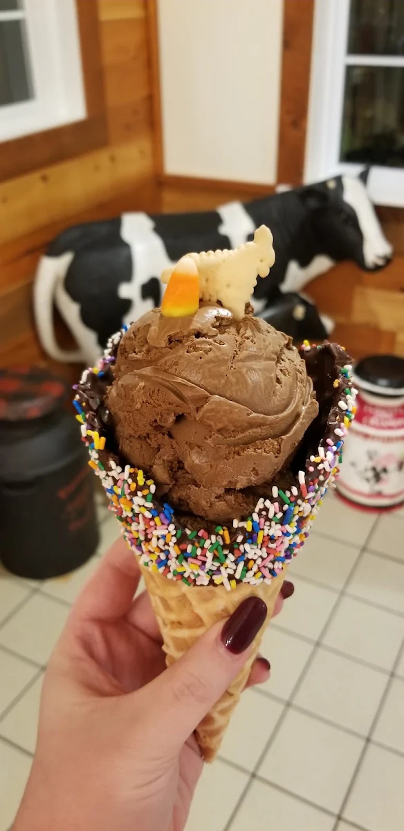 Chocolate Dipped Cone