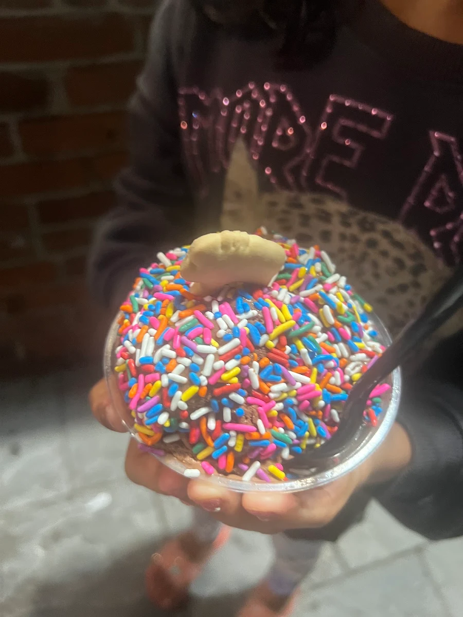 Chocolate Ice Cream with Sprinkles