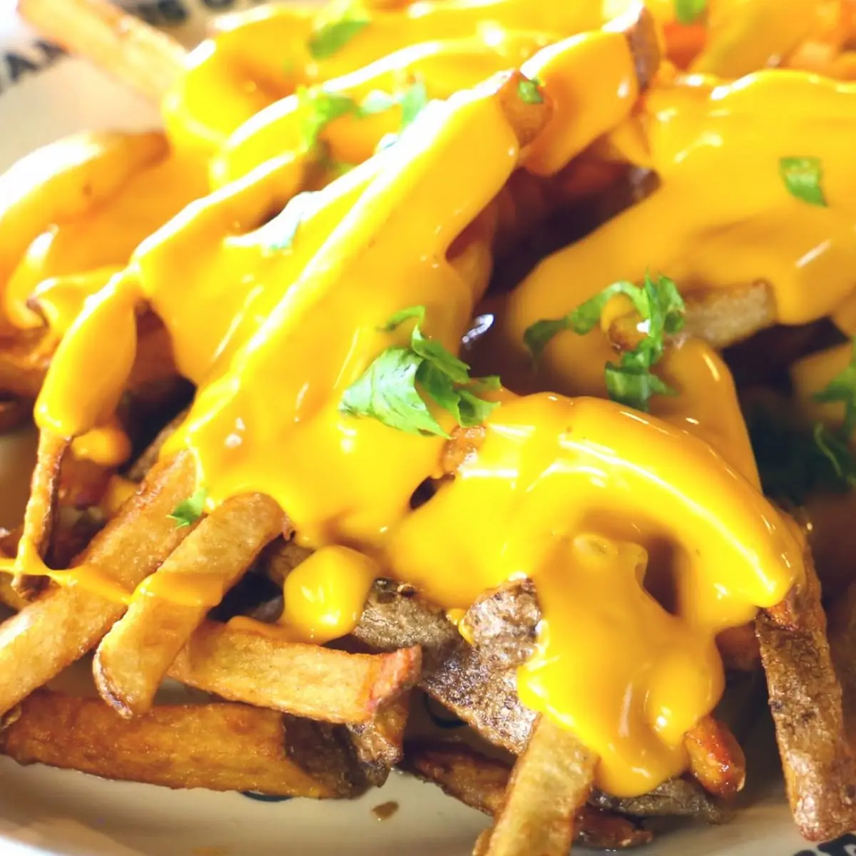 Chili Cheese Fries