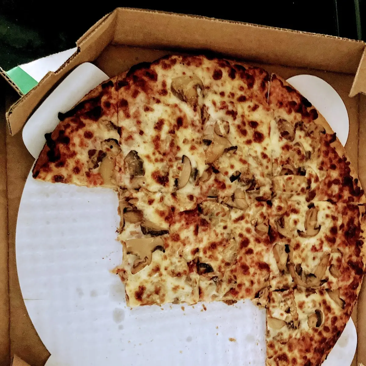 Thin Crust Mushroom Pizza