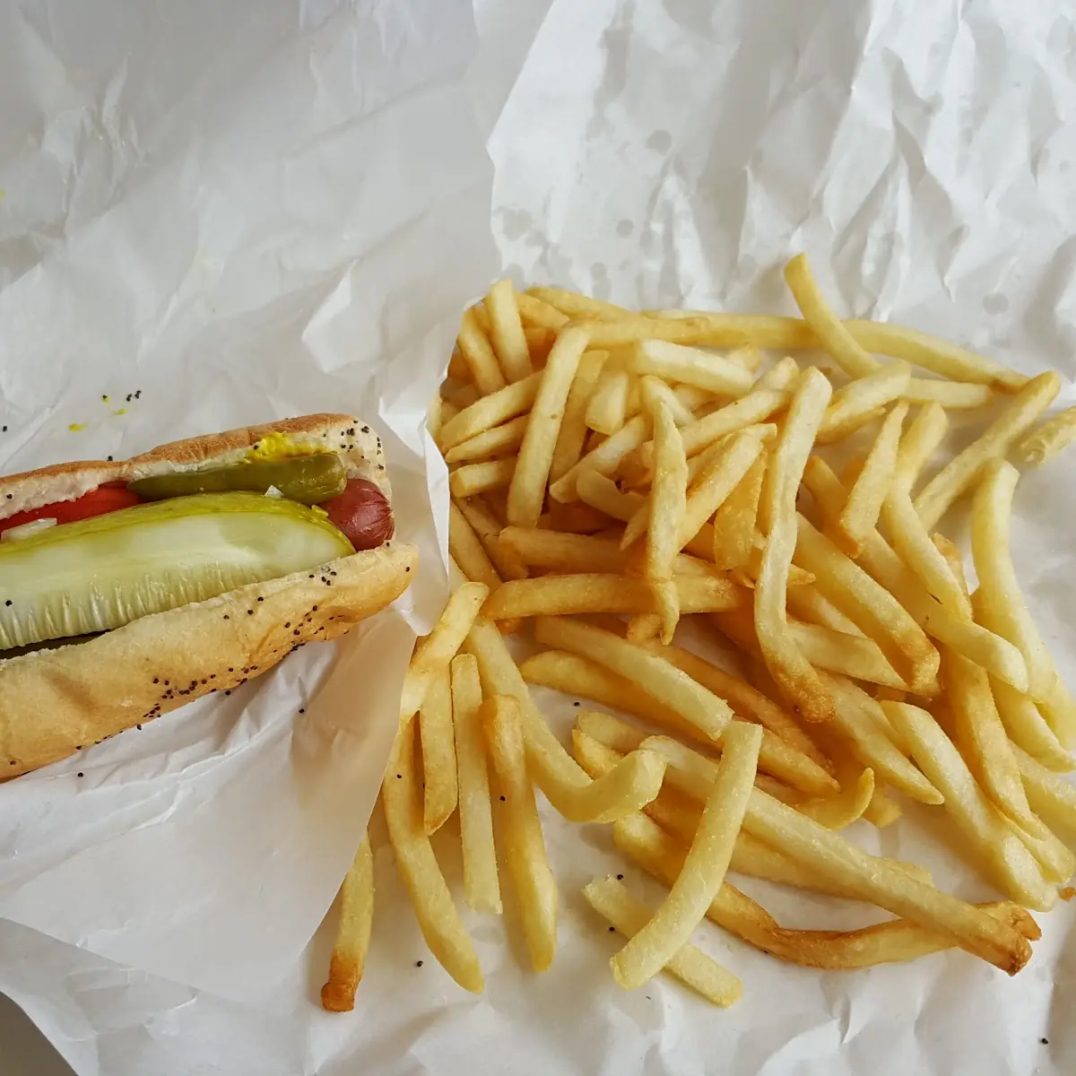 Hot Dog & Fries