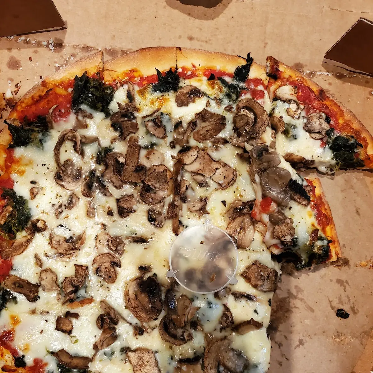 Mushroom Pizza