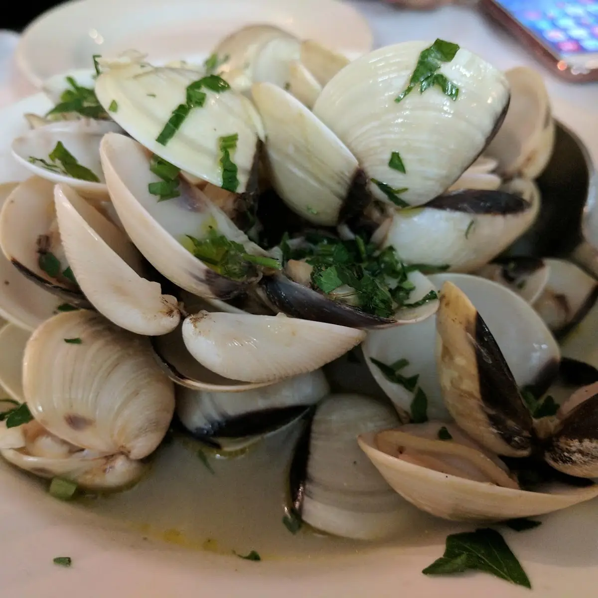 Steamed Clams