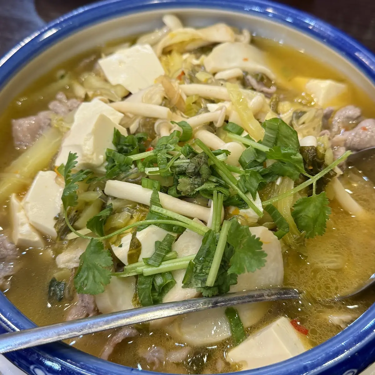 West Lake Beef Tofu Soup