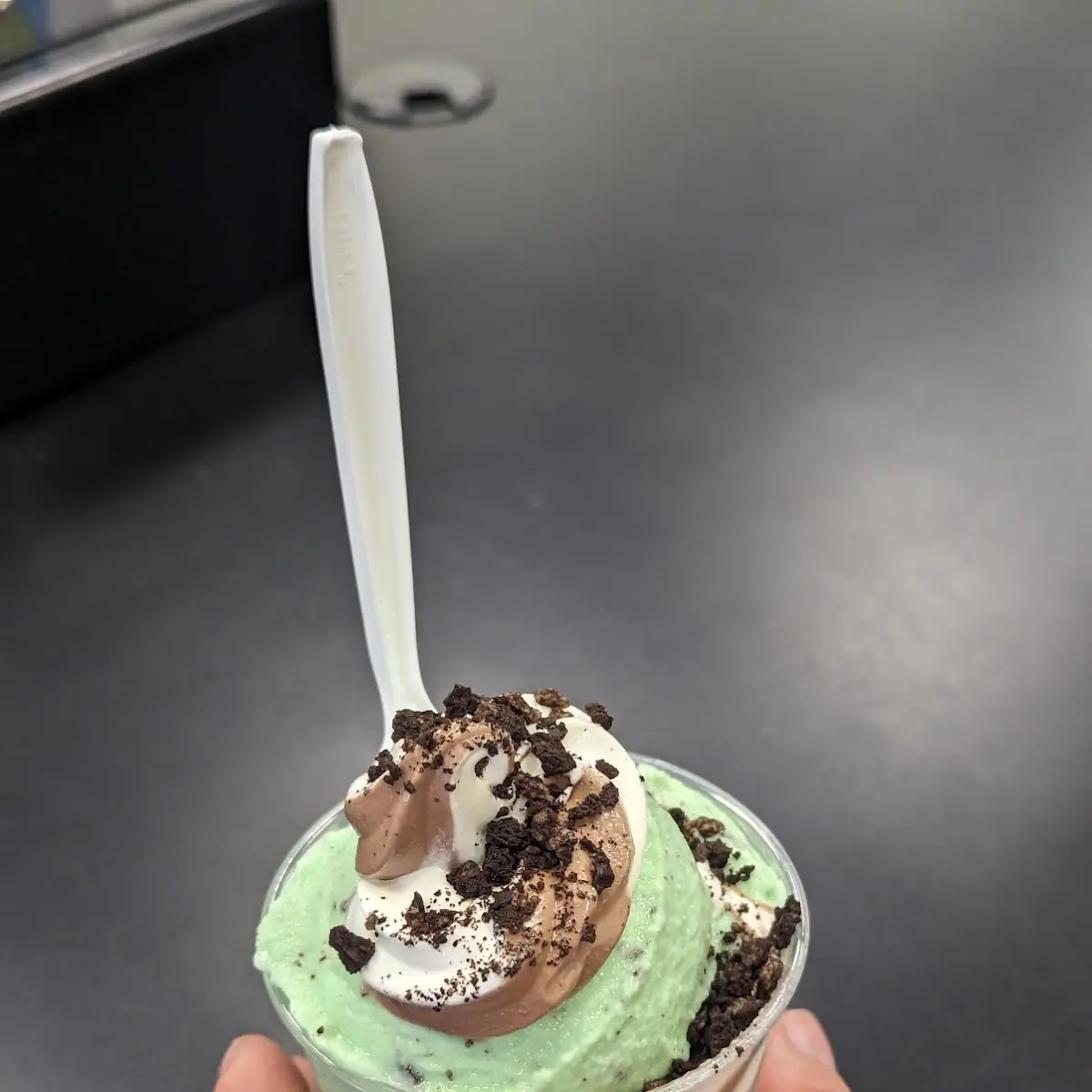 Mint Chocolate Chip