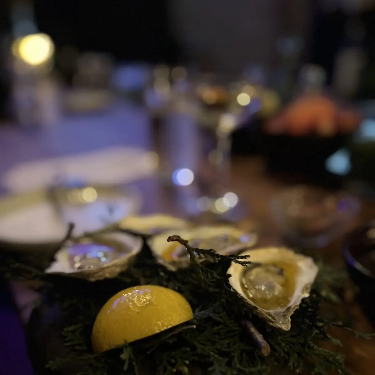 Grilled Oysters