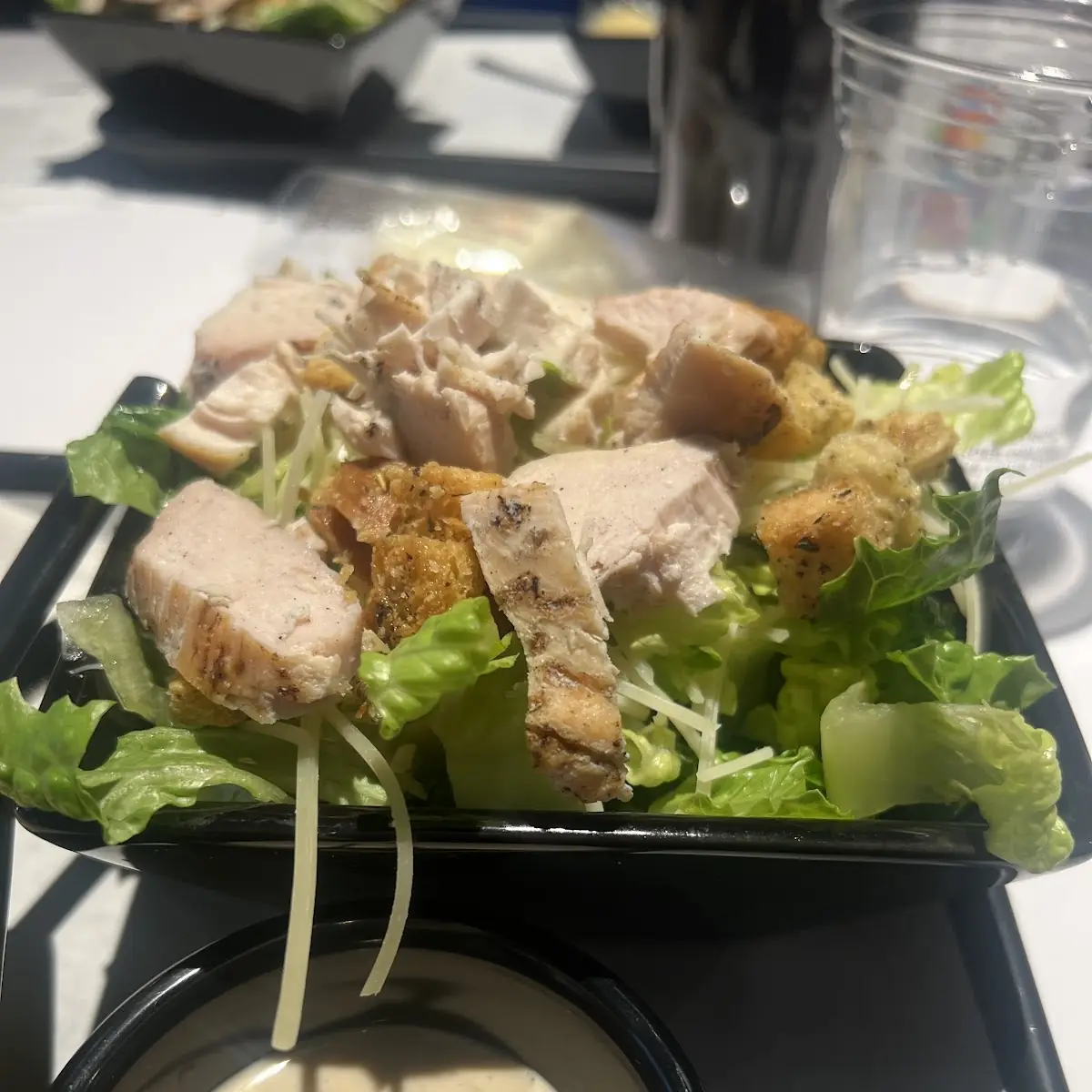 Chicken Caesar Salad