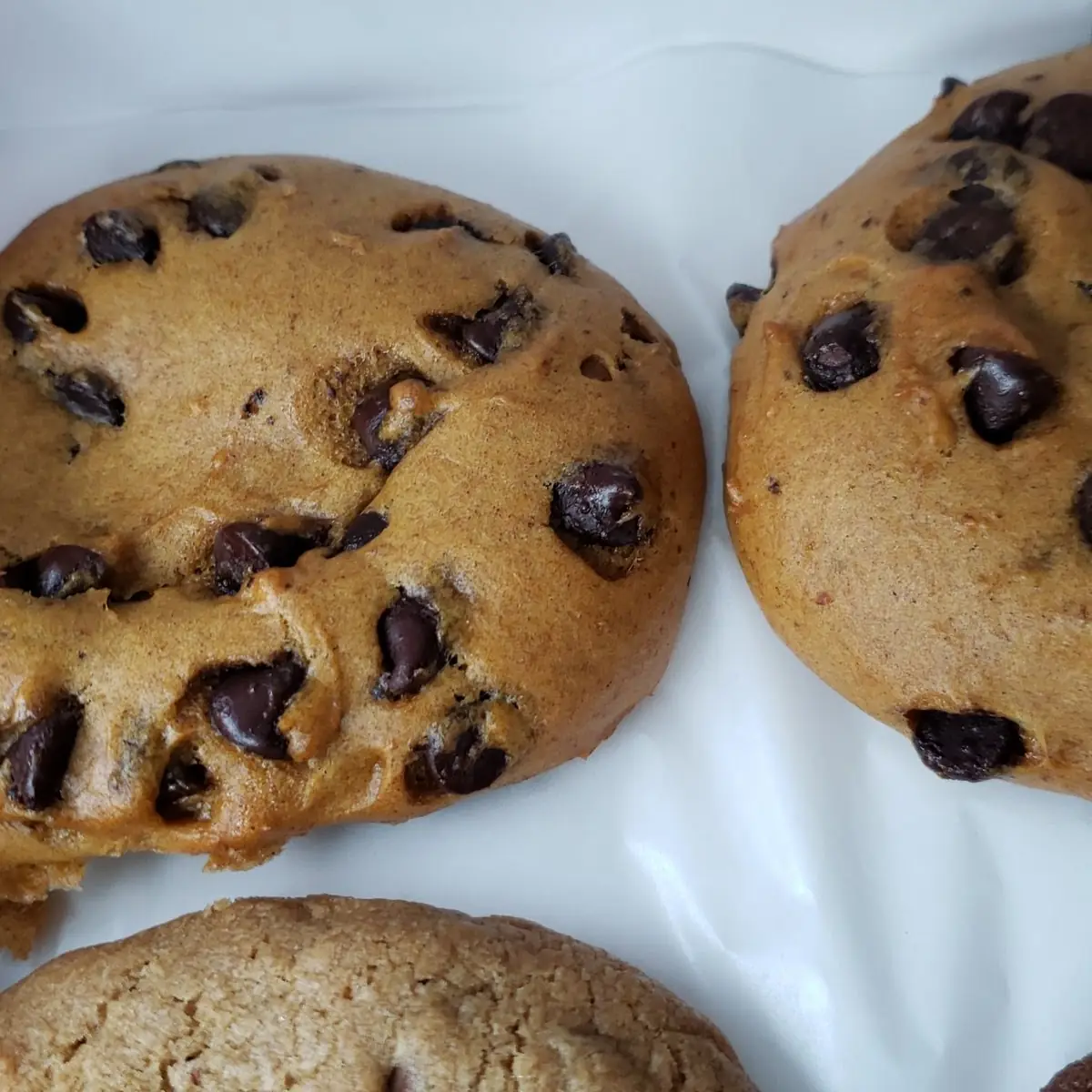Pumpkin Chocolate Chip Cookies