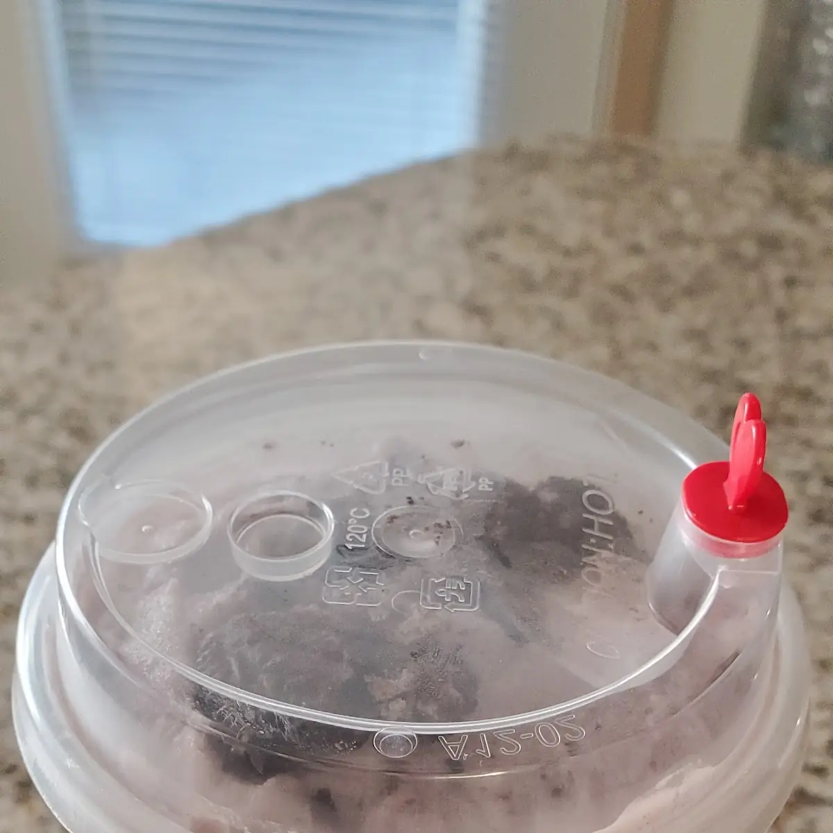Taro Coconut Smoothie