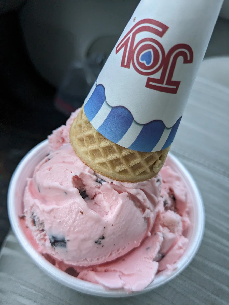 Maine Black Bear with Sugar Cone
