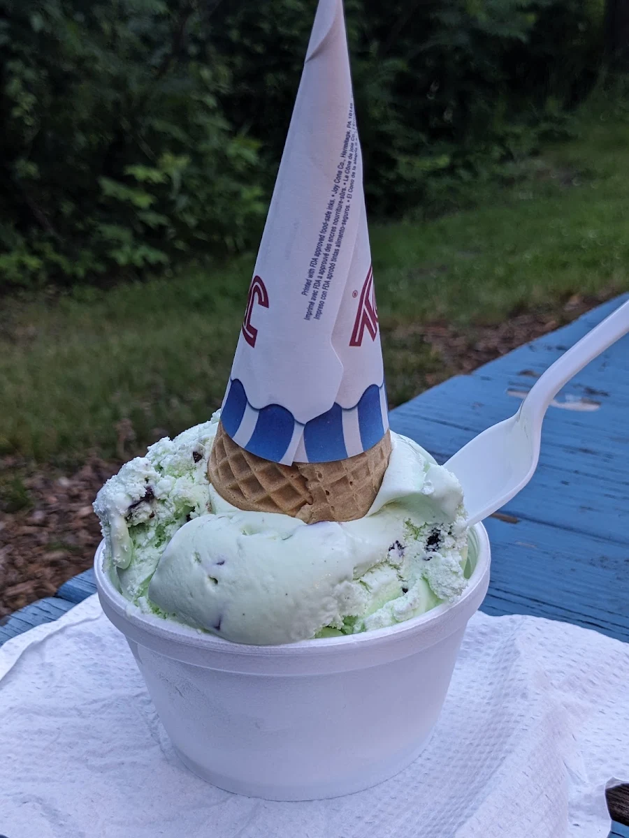 Mint Chip with Sugar Cone