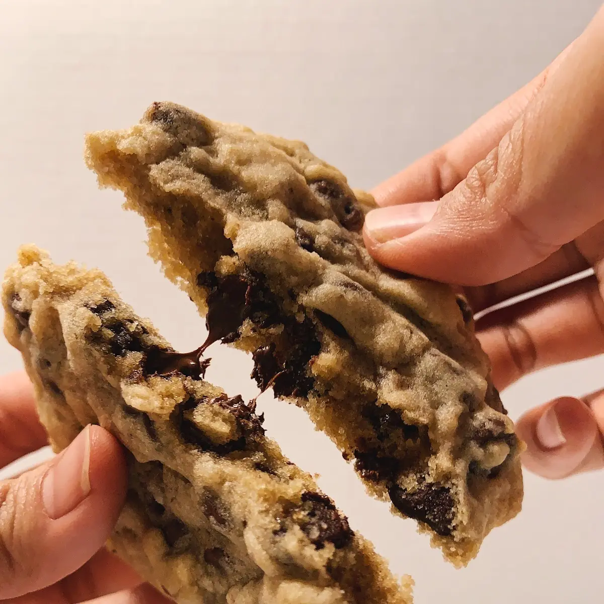Chocolate Chip Cookie